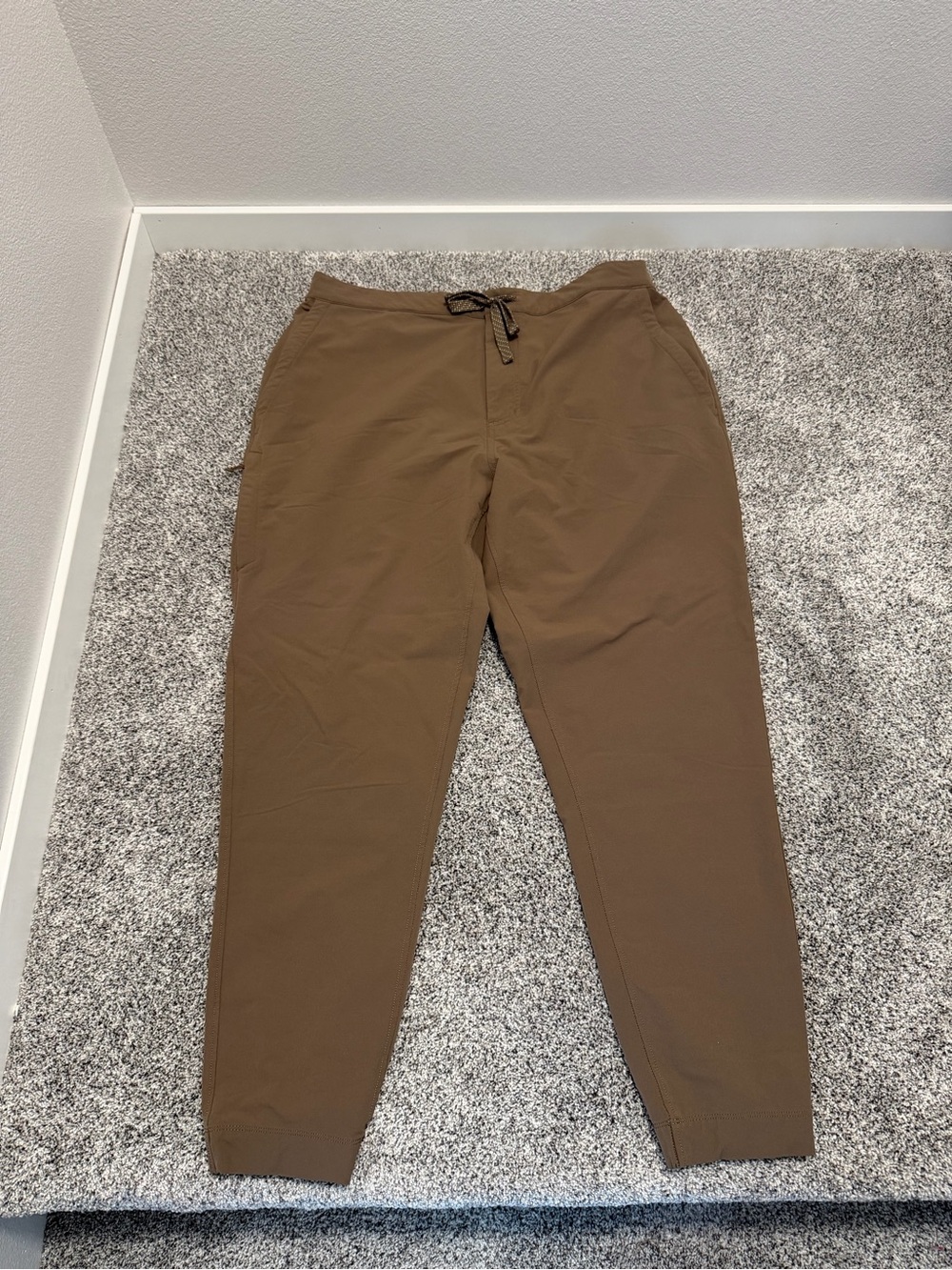 Mens Patagonia Jogger